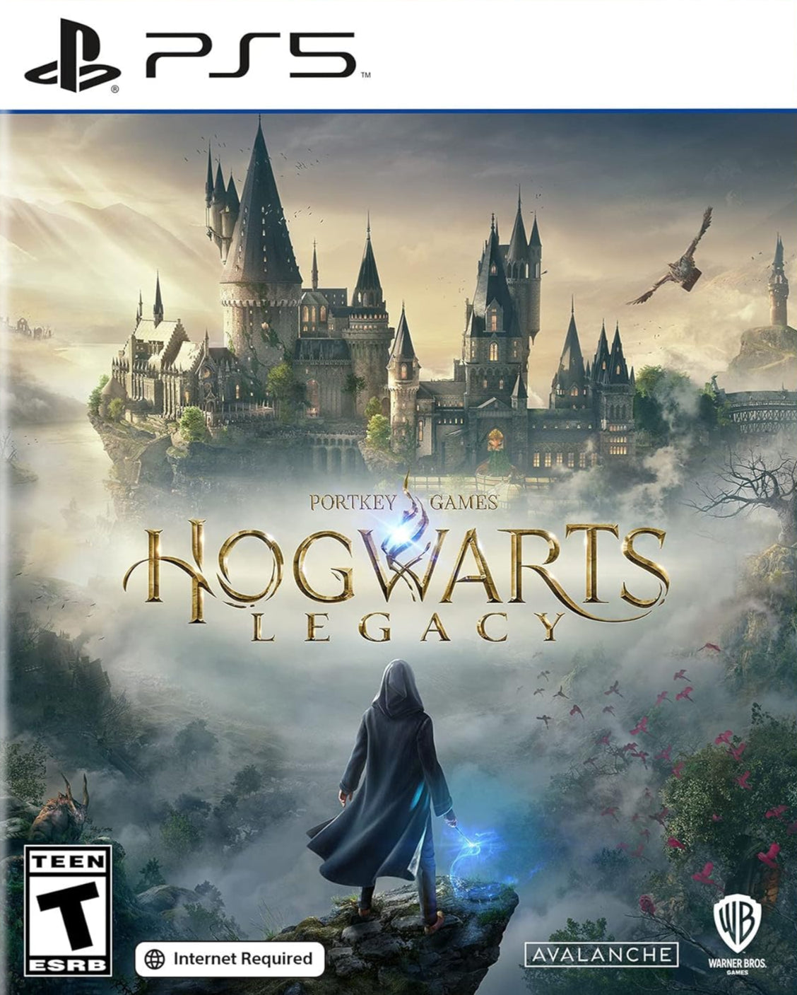 Hogwarts Legacy Playstation 5