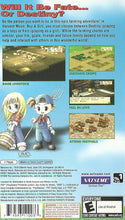 Load image into Gallery viewer, Harvest Moon Boy And Girl PSP
