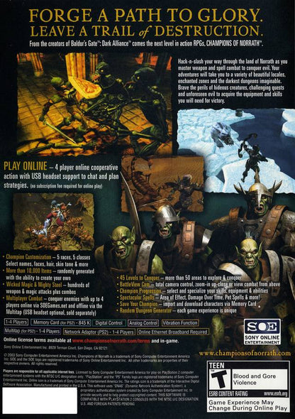 Champions of Norrath Playstation 2